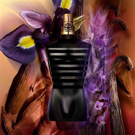 la male le parfum|le male le parfum sephora.